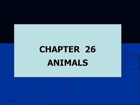 10/15/2015 CHAPTER 26 ANIMALS. 10/15/2015 ANIMALS Adapted to live in all environments Adapted to live in all environments land, oceans, fresh water, cool.