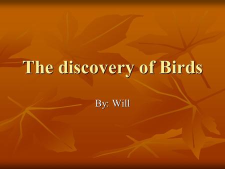 The discovery of Birds By: Will The bald eagle Both male and female adult bald eagles have a blackish-brown back and breast; a white head, neck, and.