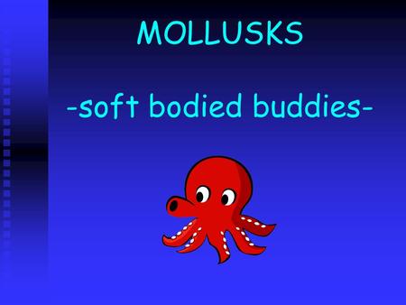 MOLLUSKS -soft bodied buddies- TYPES OF MOLLUSKS Gastropods – snails and slugs Gastropods – snails and slugs Bivalves – oysters, clams, mussels, and.