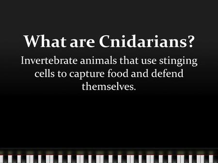 What are Cnidarians? Invertebrate animals that use stinging cells to capture food and defend themselves.