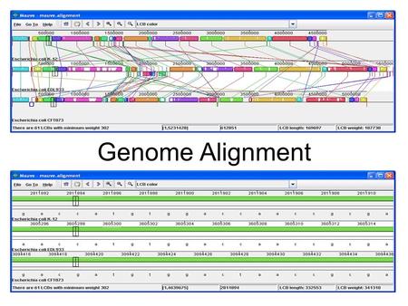 Genome Alignment. Alignment Methods Needleman-Wunsch (global) and Smith- Waterman (local) use dynamic programming Guaranteed to find an optimal alignment.