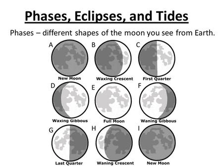 Phases – different shapes of the moon you see from Earth.