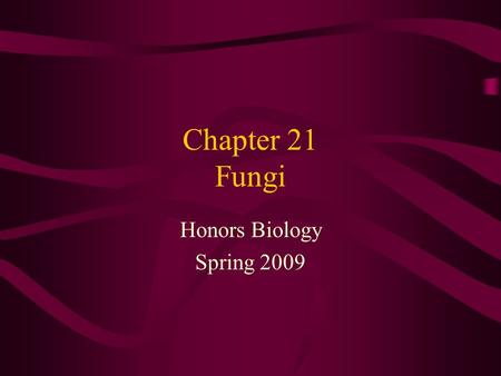 Chapter 21 Fungi Honors Biology Spring 2009. Kingdom Fungi Eukaryotic Heterotrophic- external digestion/absorption –Saprobe- obtain food from decaying.