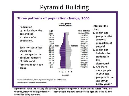 Pyramid Building Population pyramids show the age and sex structure of a population. Each horizontal bar shows the percentage (or the absolute number)