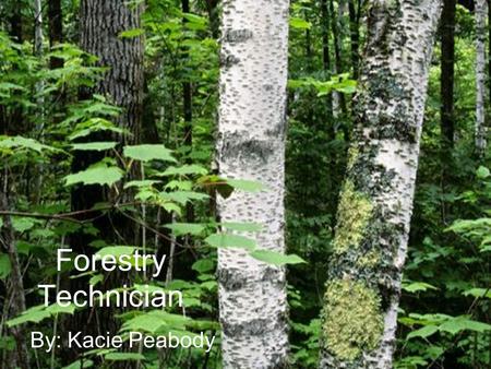 Forestry Technician By: Kacie Peabody. What is Forestry? Forestry is the science, art and practice of understanding, managing and wisely using the natural.