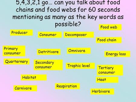 5,4,3,2,1 go… can you talk about food chains and food webs for 60 seconds mentioning as many as the key words as possible? Food web Producer Consumer Decomposer.