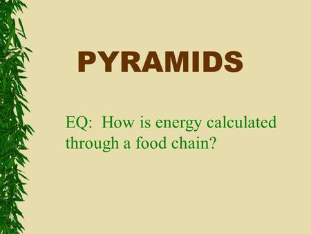 PYRAMIDS EQ: How is energy calculated through a food chain?