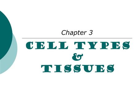 Cell Types & Tissues Chapter 3. What are Tissues?  Tissues are groups of cells that have similar function  There are 4 main tissue types: Epithelial.