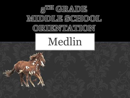 Medlin. Netbook Keep organized Turn in assignments on time Attend tutorials when needed Form bonds with teachers and staff Ask questions for help when.
