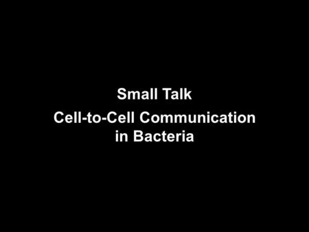 Small Talk Cell-to-Cell Communication in Bacteria.