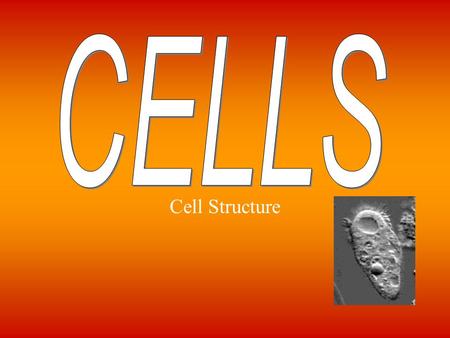 Cell Structure. 1/6/15 Cells Key Question: How are cells structured and organized? Initial Thoughts: