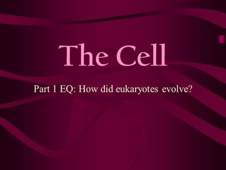 Part 1 EQ: How did eukaryotes evolve?