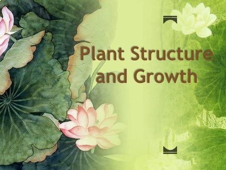 Plant Structure and Growth. ObjectivesObjectives 9.1.2 – Outline three differences between the struc- tures of dicotyledonous and monocotyle- donous plants.