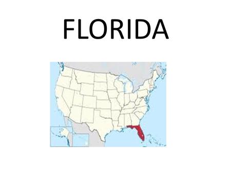FLORIDA. Florida is the 4 th most populated state after California, New York, and Texas.