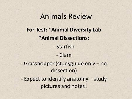 Animals Review For Test: *Animal Diversity Lab *Animal Dissections: - Starfish - Clam - Grasshopper (studyguide only – no dissection) - Expect to identify.