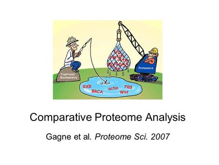 Comparative Proteome Analysis Gagne et al. Proteome Sci. 2007.