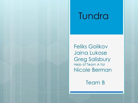 Tundra Feliks Golikov Jaina Lukose Greg Salisbury Help of Team A for Nicole Berman Team B.
