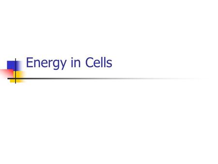 Energy in Cells.