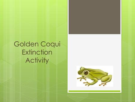 Golden Coqui Extinction Activity. Why are we doing this activity?  The Golden Coqui (Eleutheroactylus jasperi) is one of the most important symbols of.