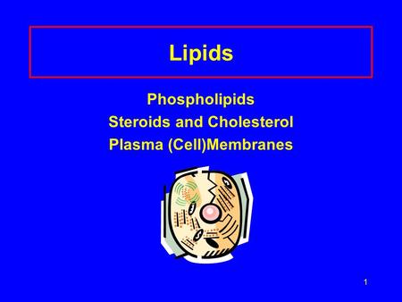 Steroids and Cholesterol Plasma (Cell)Membranes