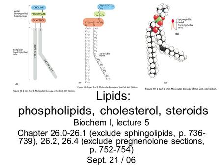 Lipids: phospholipids, cholesterol, steroids Biochem I, lecture 5 Chapter 26.0-26.1 (exclude sphingolipids, p. 736- 739), 26.2, 26.4 (exclude pregnenolone.