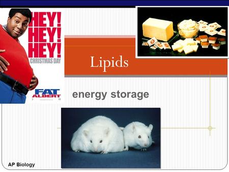 AP Biology Lipids energy storage AP Biology Lipids Lipids are composed of C, H, O long hydrocarbon chain 4 types of lipids fats phospholipids steroids.