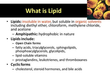 What is Lipid Lipids: insoluble in water, but soluble in organic solvents including diethyl ether, chloroform, methylene chloride, and acetone Amphipathic: