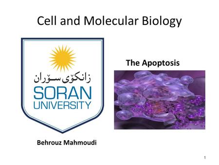 Cell and Molecular Biology Behrouz Mahmoudi The Apoptosis 1.