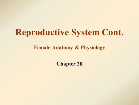 Reproductive System Cont. Female Anatomy & Physiology Chapter 28.