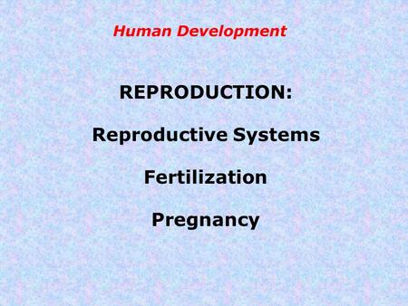 Human Development REPRODUCTION: Reproductive Systems Fertilization Pregnancy.