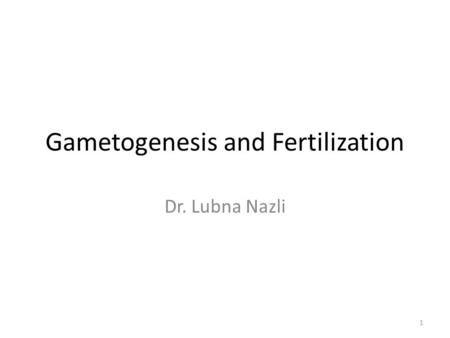 1 Gametogenesis and Fertilization Dr. Lubna Nazli.