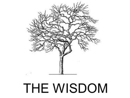 THE WISDOM TREE. For my 10 th birthday, I was given a seed. A tiny seed that was in the shape of a teardrop.