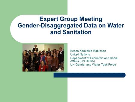 Expert Group Meeting Gender-Disaggregated Data on Water and Sanitation Kenza Kaouakib-Robinson United Nations Department of Economic and Social Affairs.