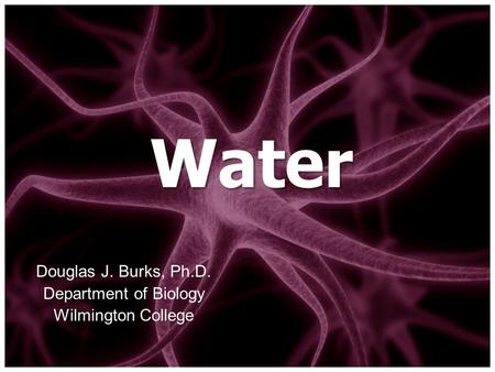 Douglas J. Burks, Ph.D. Department of Biology Wilmington College Water.