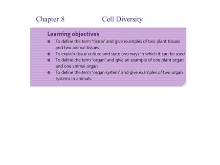 Chapter 8Cell Diversity. Plant Tissues There are 4 main types of tissue: Dermal Tissue Vascular Tissue Ground Tissue Meristematic Tissue Dermal Tissue.