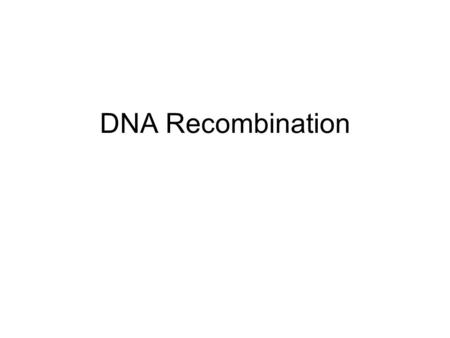 DNA Recombination.