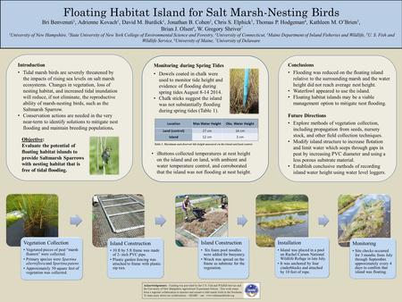 Floating Habitat Island for Salt Marsh-Nesting Birds Bri Benvenuti 1, Adrienne Kovach 1, David M. Burdick 1, Jonathan B. Cohen 2, Chris S. Elphick 3, Thomas.