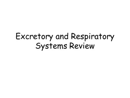 Excretory and Respiratory Systems Review. 1.Identify A, B, and D. lung liver kidney.