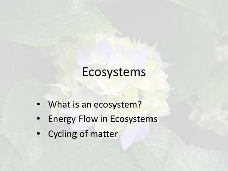 Ecosystems What is an ecosystem? Energy Flow in Ecosystems Cycling of matter.