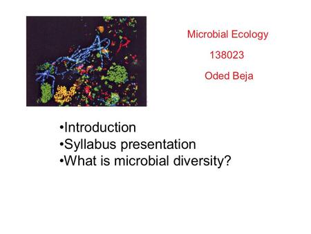 Microbial Ecology 138023 Oded Beja Introduction Syllabus presentation What is microbial diversity?