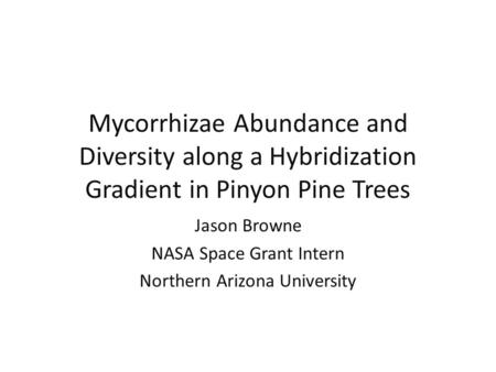 Mycorrhizae Abundance and Diversity along a Hybridization Gradient in Pinyon Pine Trees Jason Browne NASA Space Grant Intern Northern Arizona University.