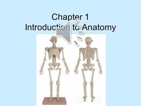 Chapter 1 Introduction to Anatomy. Do Now Terminology quiz grades are in pink column. Great job. Please go to back and get colored pencils.