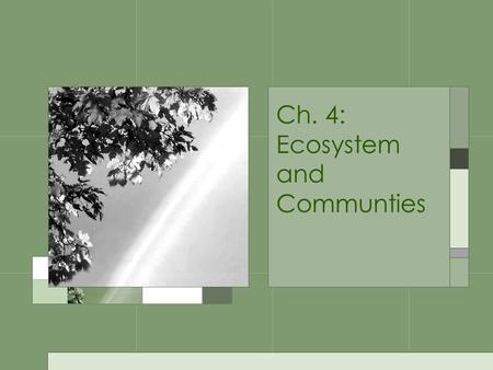 Ch. 4: Ecosystem and Communties. Ch. 4 Outline 4-1: The Role of Climate –What is Climate? –The Greenhouse Effect –The Effect of Latitude on Climate 4-2: