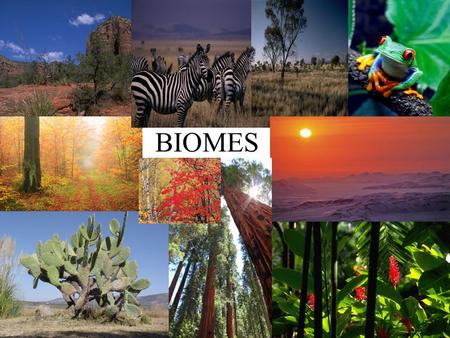 BIOMES. * A biome is an area that has the same climate (weather) and the same organisms that live there. * Biomes help scientists describe the world.