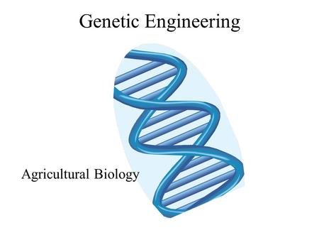 Genetic Engineering Agricultural Biology. Introduction For thousands of years people have changed the characteristics of plants and animals. –Through.