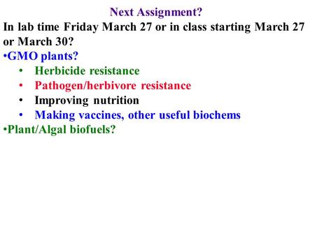 Next Assignment? In lab time Friday March 27 or in class starting March 27 or March 30? GMO plants? Herbicide resistance Pathogen/herbivore resistance.