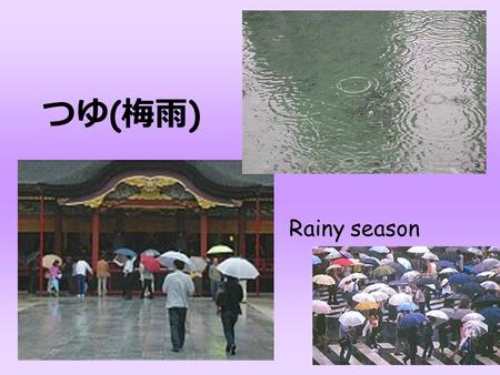 つゆ ( 梅雨 ) Rainy season. From around early June to mid-July, as spring gives way to summer, most of Japan is subject to a period of rainy weather called.