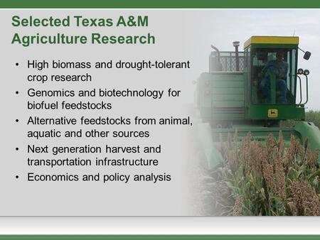 Selected Texas A&M Agriculture Research High biomass and drought-tolerant crop research Genomics and biotechnology for biofuel feedstocks Alternative feedstocks.