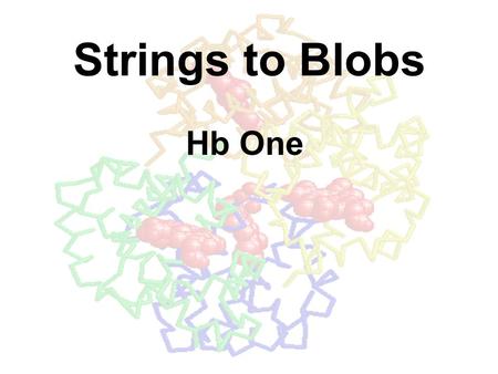 Strings to Blobs Hb One. How do we go from ‘string’ of mRNA to a MACHINE? –machine = 3D object that does stuff How do proteins get the shape? –Term: ‘folding’