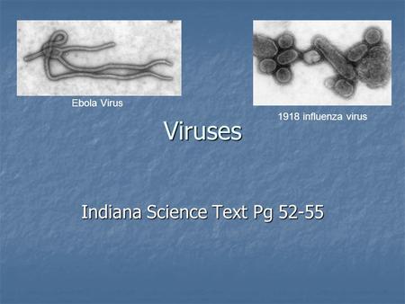 Viruses Indiana Science Text Pg 52-55 Ebola Virus 1918 influenza virus.